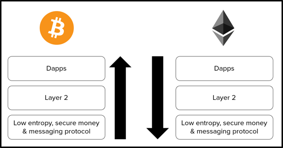 A Closer Look at Tetras Capital and Its Impact on the Crypto Hedge Fund Landscape