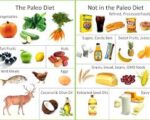 modified paleo diet