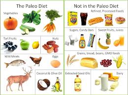 modified paleo diet